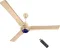 Orient Electric i Tome Pro 1400 mm 3 Blade BLDC Ceiling Fan
