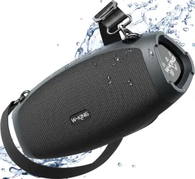 W-KING X10 120W Bluetooth Speaker