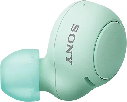 Sony WF-C500 True Wireless Earbuds