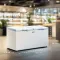 Godrej DH ESNCH 530D 2HCLP RW 505 L Double Door Deep Freezer