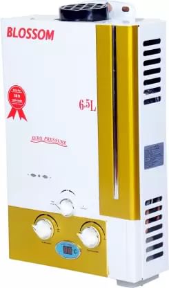BLOSSOM Geysers Price List in India | Smartprix