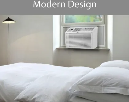 LG LW6017R 6000 BTU 115V Window AC
