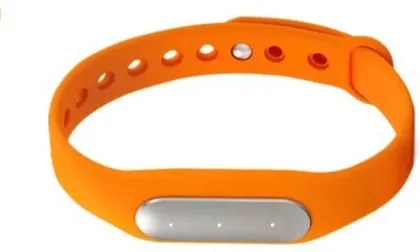 IBS WD-01 Fitness Band
