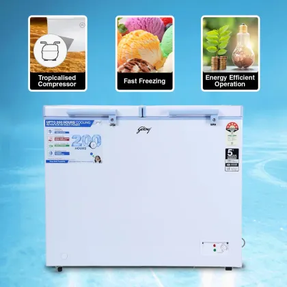 Godrej DH EPenta 325E 2HCN RW 300 L Double Door Deep Freezer