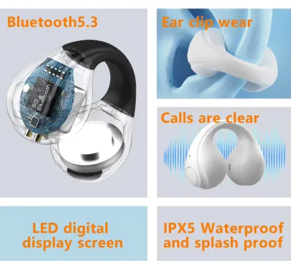 Zusix AuraPods 365 True Wireless Earbuds
