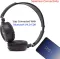 pTron Trips Wireless Headphones