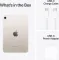 Apple iPad Mini (Cellular + 256GB)