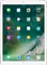 Apple iPad Pro 10.5 (WiFi+4G+256GB)