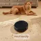 Xiaomi Robot Vacuum Mop 2 Pro