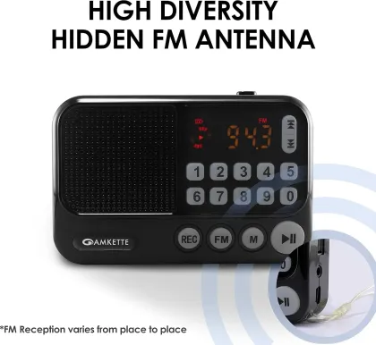 Amkette Pocket FM Radio Portable Bluetooth Speaker