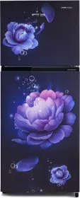 Voltas Beko RFF280C/2WPBBR0I0000GOP 243 L 2 Star Double Door Refrigerator
