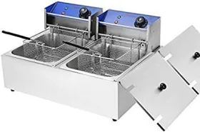 Froth & Flavor 16 L Double Deep Fryer