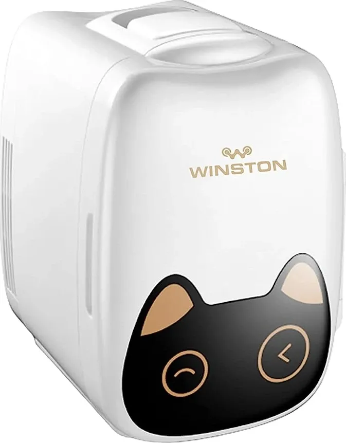 Winston 6L AC/DC Portable Mini Refrigerator - Price in India (Jun 2026 ...