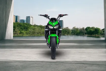 Joy e-bike Beast