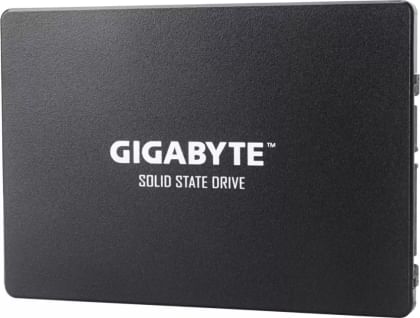 Gigabyte GP-GSTFS31120GNTD 120 GB Internal Solid State Drive