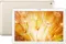 Huawei MediaPad M5 Lite (4GB RAM + 64GB)