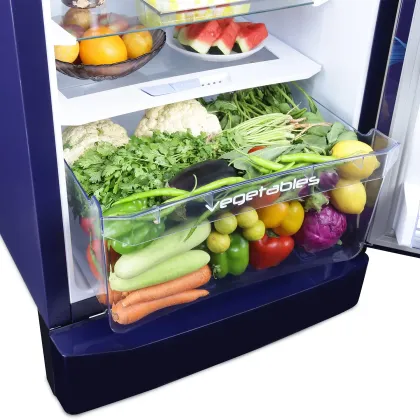 Godrej RD EDGEPRO 255C TAF 234 L 3 Star Single Door Refrigerator