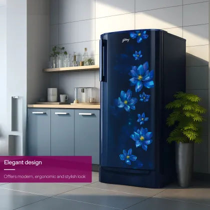 Godrej RD R190BN THF 183 L 2 Star Single Door Refrigerator
