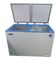 Bluestar CHFDD300D 300 L Double Door Deep Freezer