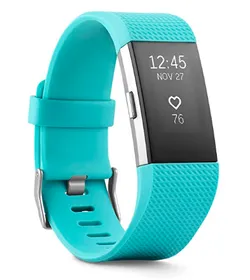 Fitbit Charge 2 Large Fitness Band