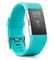 Fitbit Charge 2 Large Fitness Band