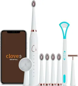 Lifelong LLDC63 Electric Toothbrush