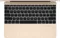 Apple Macbook 12inch MK4N2HN/A Notebook (5th Gen Intel Dual Core/ 8GB/ 512GB SSD/ Mac OS X Yosemite)
