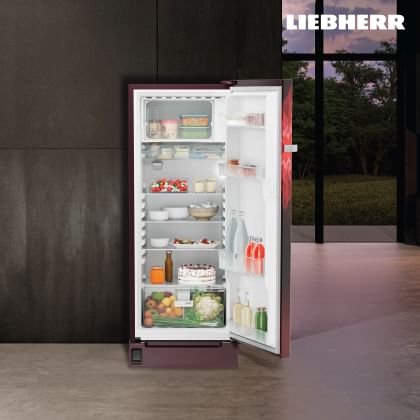 Liebherr DFBrmD 2225 222 L 4 Star Single Door Refrigerator