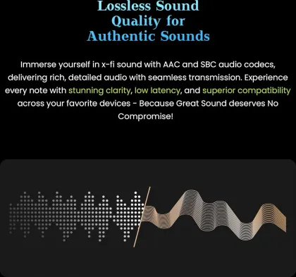 ACwO DwOTS 313 True Wireless Earbuds