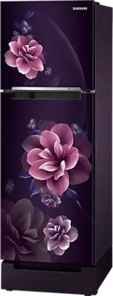 Samsung RT28C3122CR 236 L 2 Star Double Door Refrigerator
