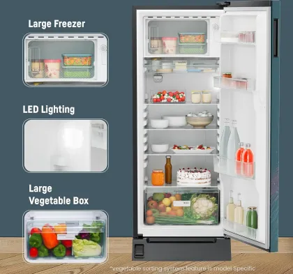 Liebherr ‎DFPtsE 2231 222 L 5 Star Single Door Refrigerator