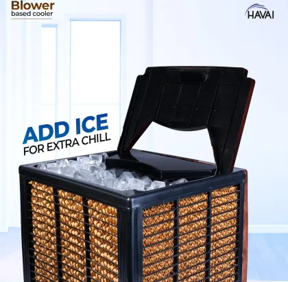 Havai KJR Ebony 35 L Dessert Air Cooler