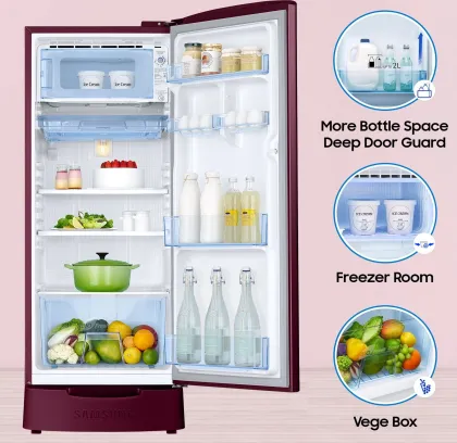 Samsung RR20D2825HN 183 L 5 Star Single Door Refrigerator