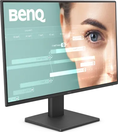 BenQ GW2491 23.8 inch Full HD Monitor