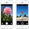 Apple iPhone 5S (64GB) (Gold, Silver, B/W and Space Gray)