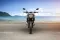 Suzuki Gixxer 250