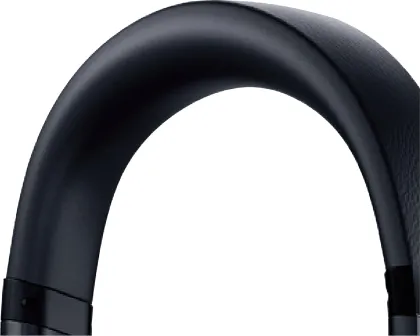 Panasonic RP-HD10 Wired Headphones