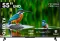 Croma CREL055UGQ024651 55 inch Ultra HD 4K Smart QLED TV