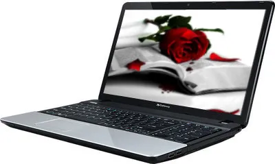 Acer Gateway NE56R Laptop (2nd Gen Ci3/ 4GB/ 320GB/ Win8) (NX.Y14SI.012)