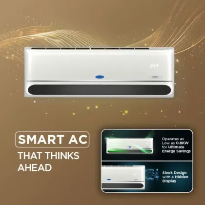 Carrier CAI24IN3R36F0 2 Ton 3 Star Inverter Split AC (INDUS Gxi)