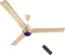 Orient Electric i Tome Pro 1200 mm 3 Blade BLDC Ceiling Fan