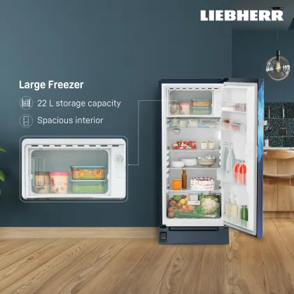 Liebherr DFBlmD 1925 191 L 4 Star Single Door Refrigerator