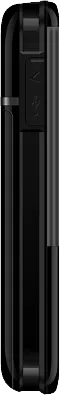 Lemon B319i