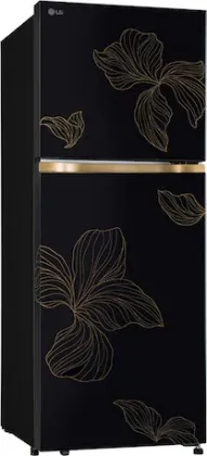 LG GL-N252YROY 225 L 2 Star Double Door Refrigerator