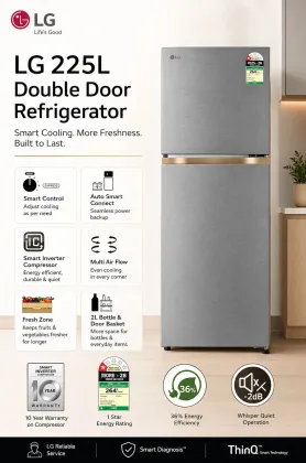 LG GLT2216WYDS 225 L 1 Star Double Door Refrigerator