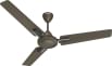 Havells Ambrose Neo 1200 mm 3 Blade Ceiling Fan
