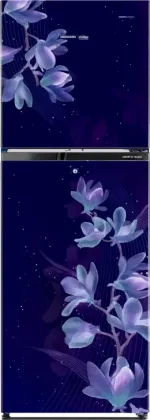 Voltas Beko RFF270D/WONBROI 230 L 2 Star Double Door Refrigerator