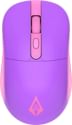 Archer Tech Lab Precision 100 Wireless Mouse