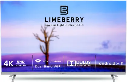 LimeBerry LB49OU11SSPS5GV 50 inch Ultra HD 4K Smart OLED TV