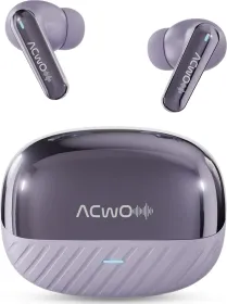 ACwO DwOTS 333 True Wireless Earbuds